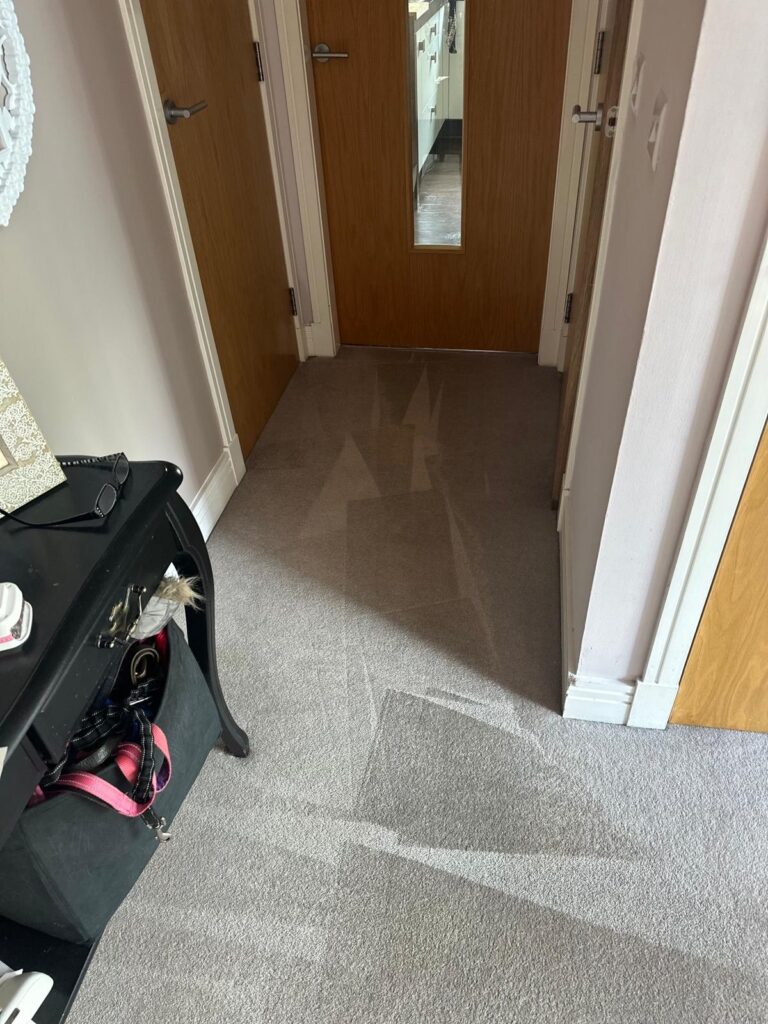 Carpet cleaning Glasgow