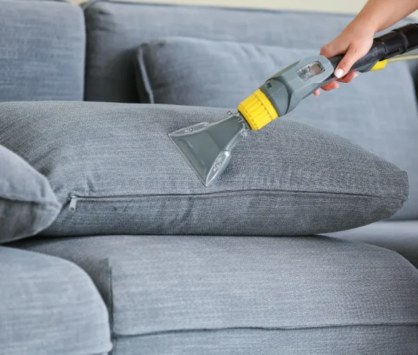 sofa cleaning