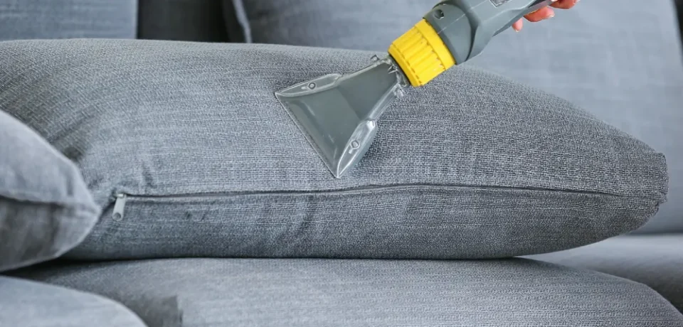 sofa cleaning