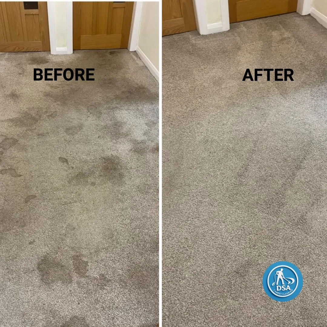 Professional carpet cleaning Glasgow